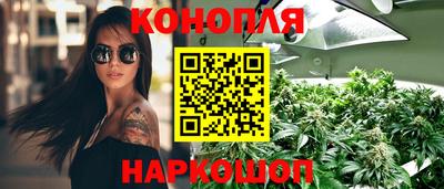 PSILOCYBIN Можайск