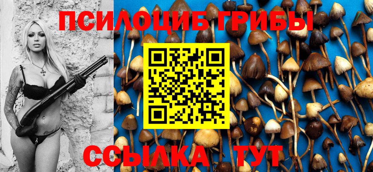 Бузулук  Псилоцибиновые грибы Magic Shrooms  Вход с VPN 