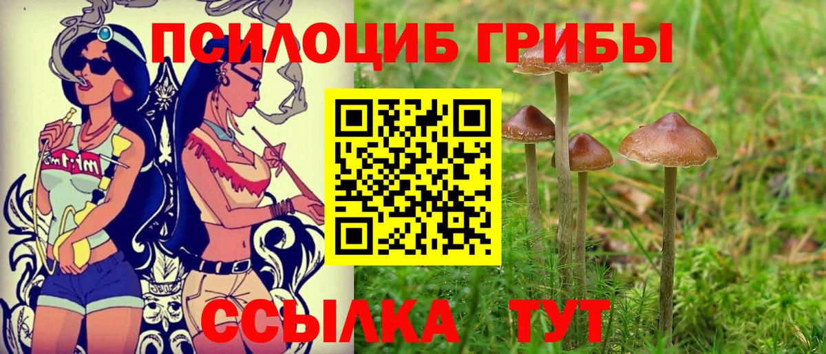 Псилоцибиновые грибы мицелий Бузулук